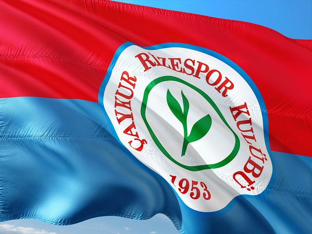 小乔治30+8+5 申京27+11+7 杰伦-格林25+10 火箭遭爵士逆转.