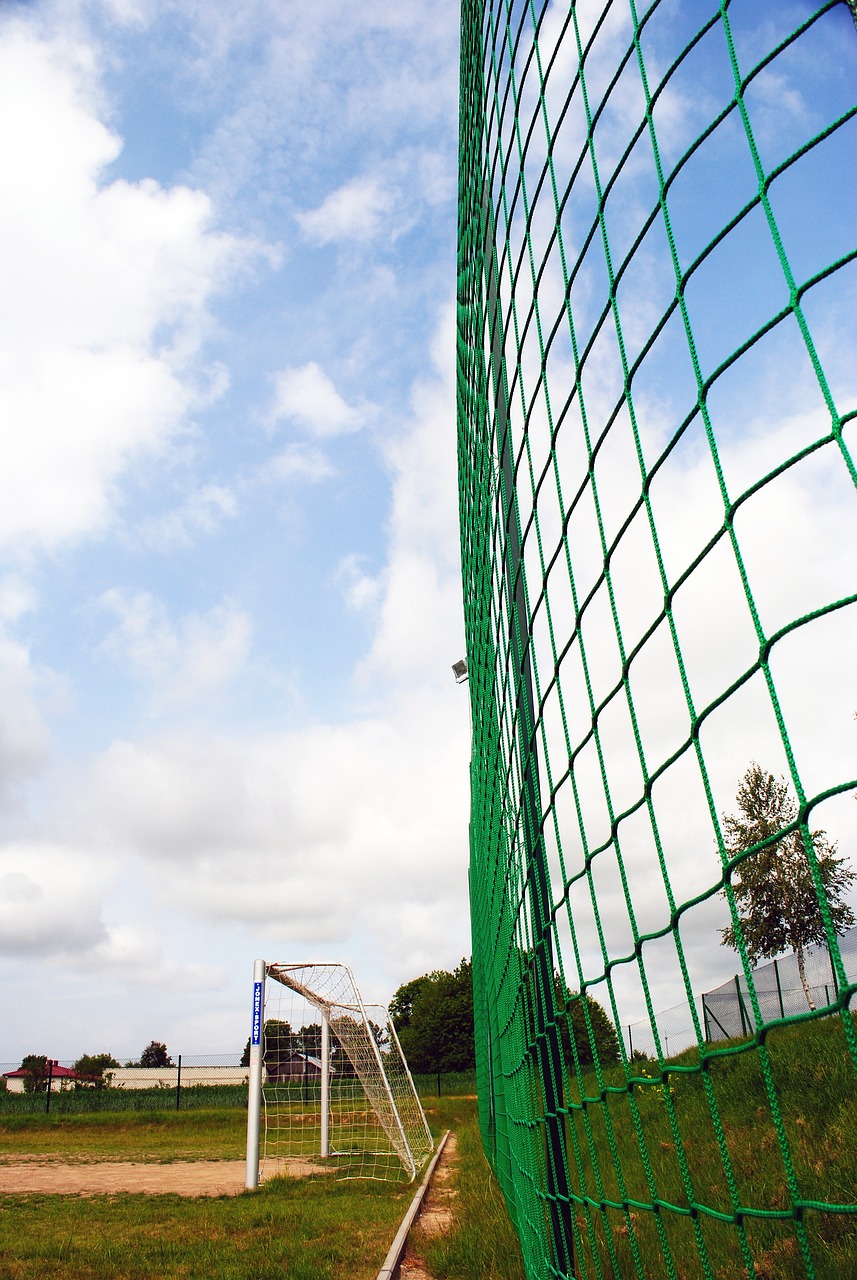 最新预测分析，灰熊队9场5胜4负，总战绩49胜33负，西部第5晋级.