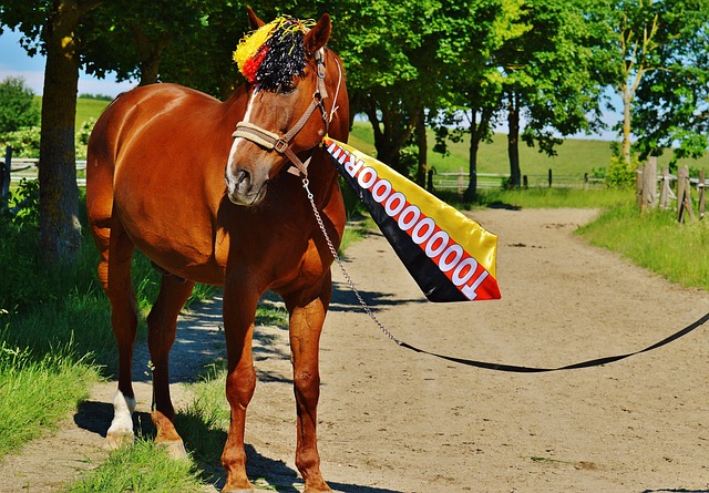 U20国青小将黄铭：近期目标小组出线；自己更适合踢后腰.